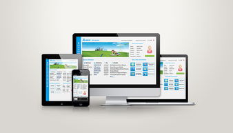 回顾我的网页设计作品 创意与实践的融合